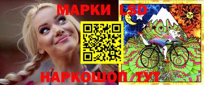 дмт Обь