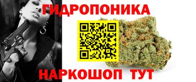 дмт Обь