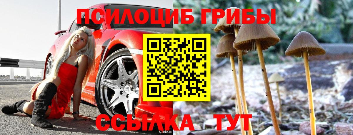 Псилоцибиновые грибы GOLDEN TEACHER Ульяновск