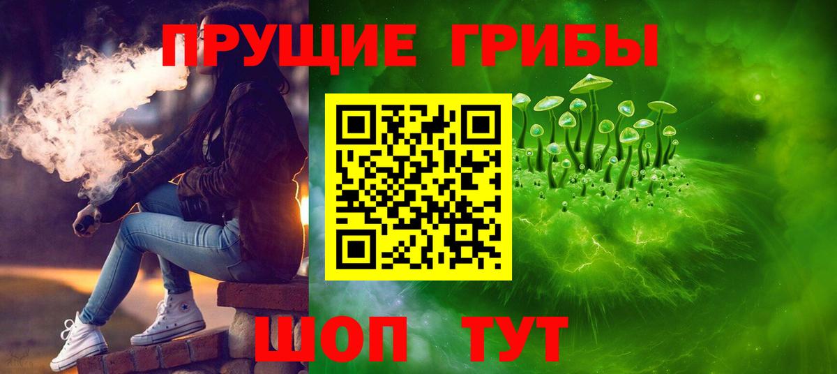 Галлюциногенные грибы Psilocybine cubensis  Вход с VPN  Ульяновск 